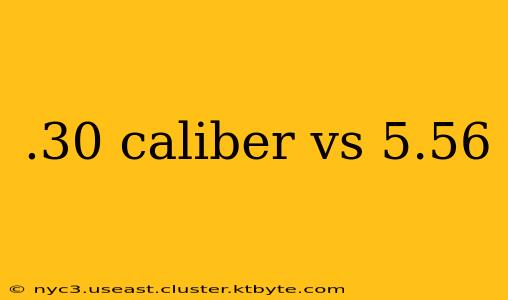 .30 caliber vs 5.56