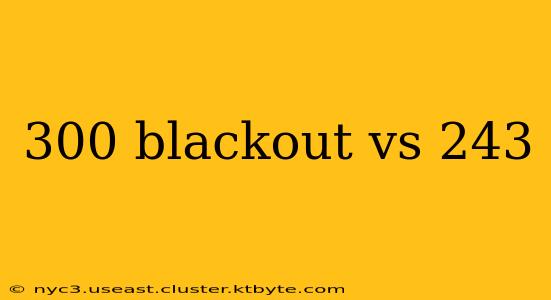 300 blackout vs 243