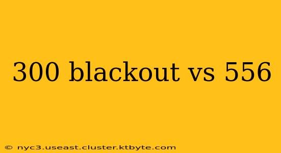 300 blackout vs 556