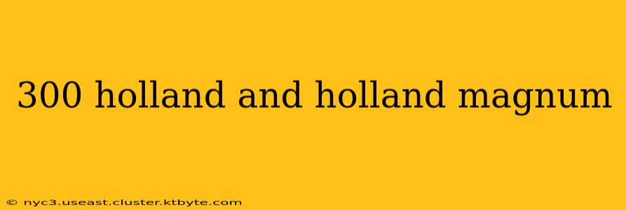 300 holland and holland magnum