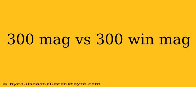 300 mag vs 300 win mag