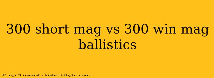 300 short mag vs 300 win mag ballistics