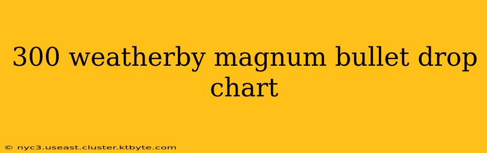 300 weatherby magnum bullet drop chart