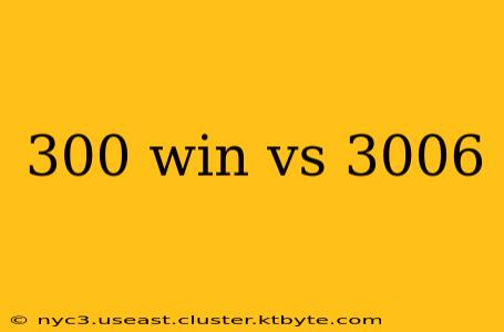 300 win vs 3006