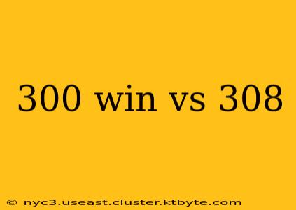 300 win vs 308