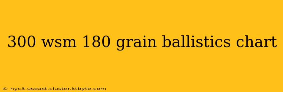 300 wsm 180 grain ballistics chart