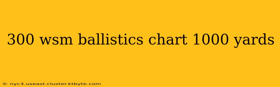 300 wsm ballistics chart 1000 yards