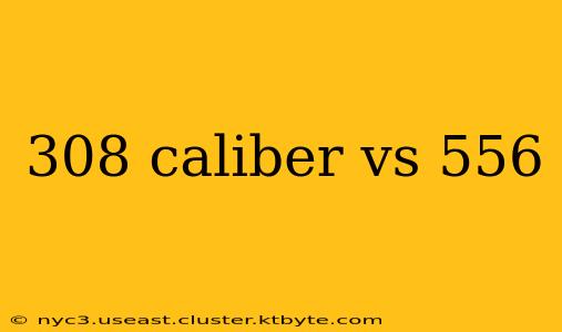 308 caliber vs 556