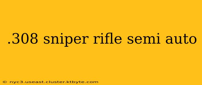 .308 sniper rifle semi auto