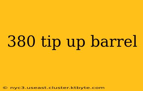 380 tip up barrel