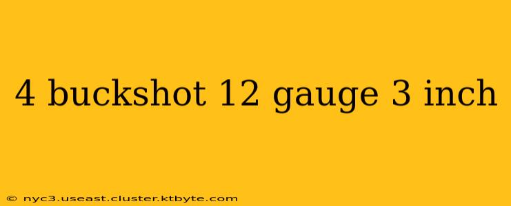 4 buckshot 12 gauge 3 inch