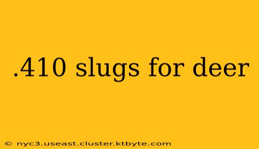 .410 slugs for deer