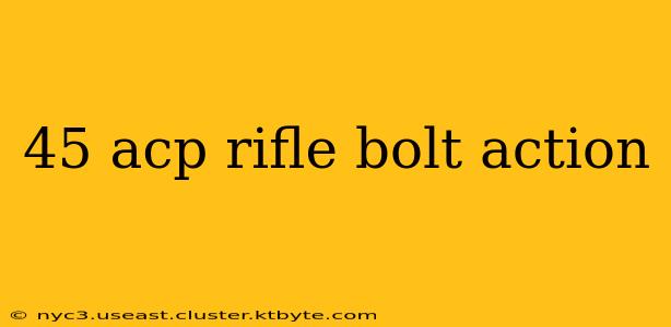 45 acp rifle bolt action