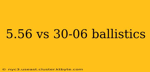 5.56 vs 30-06 ballistics