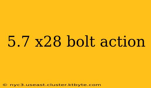 5.7 x28 bolt action