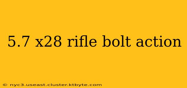 5.7 x28 rifle bolt action