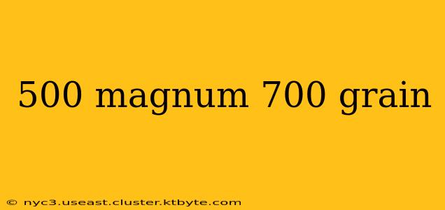 500 magnum 700 grain