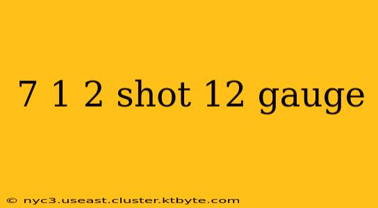 7 1 2 shot 12 gauge