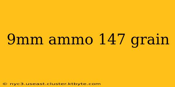 9mm ammo 147 grain