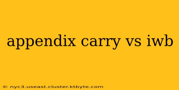 appendix carry vs iwb