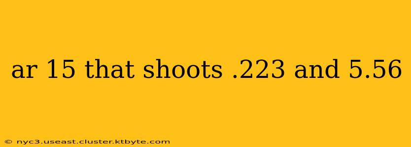 ar 15 that shoots .223 and 5.56