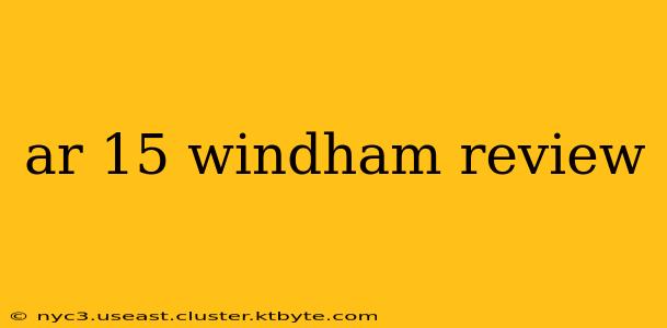 ar 15 windham review