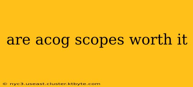 are acog scopes worth it