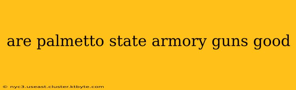 are palmetto state armory guns good