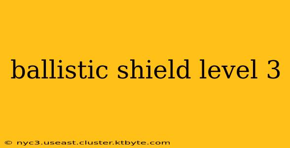 ballistic shield level 3