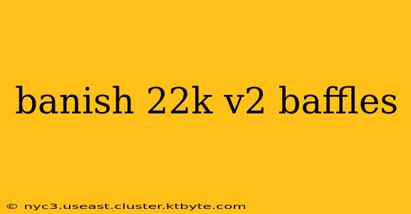 banish 22k v2 baffles