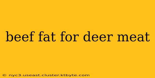 beef fat for deer meat