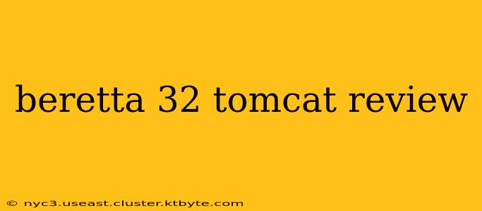 beretta 32 tomcat review