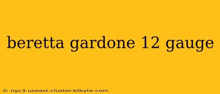 beretta gardone 12 gauge