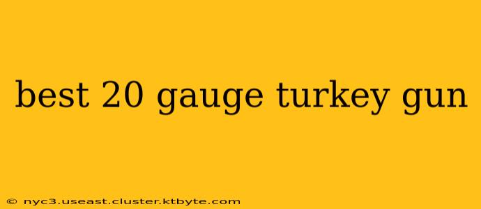 best 20 gauge turkey gun