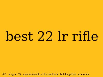 best 22 lr rifle