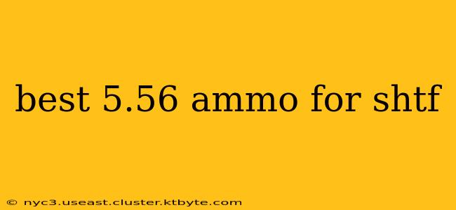 best 5.56 ammo for shtf