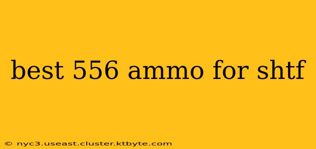 best 556 ammo for shtf