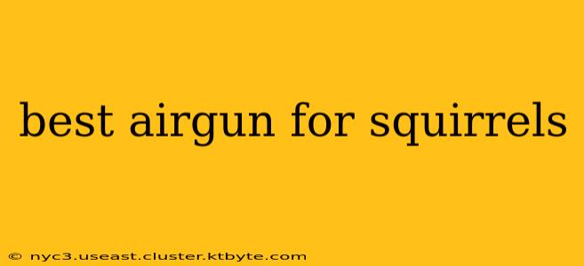 best airgun for squirrels