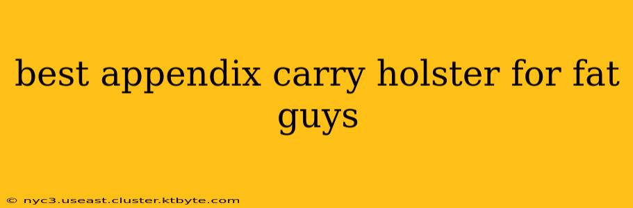 best appendix carry holster for fat guys