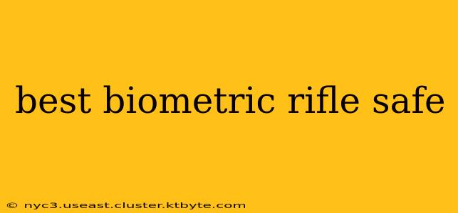 best biometric rifle safe