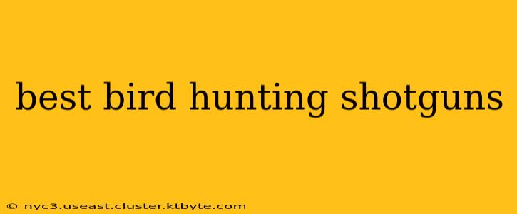 best bird hunting shotguns