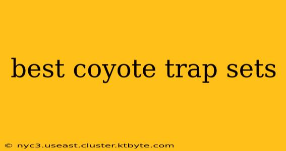 best coyote trap sets