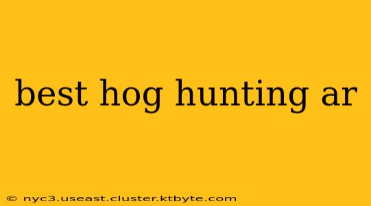 best hog hunting ar