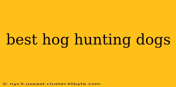 best hog hunting dogs