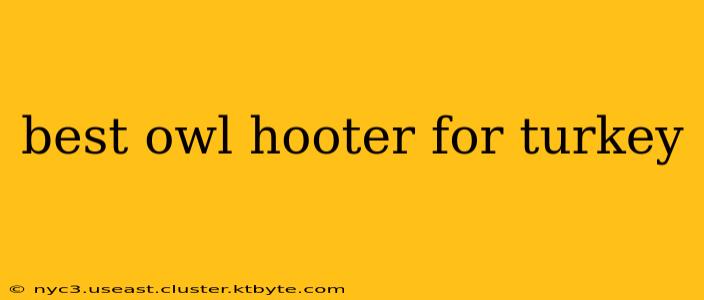 best owl hooter for turkey