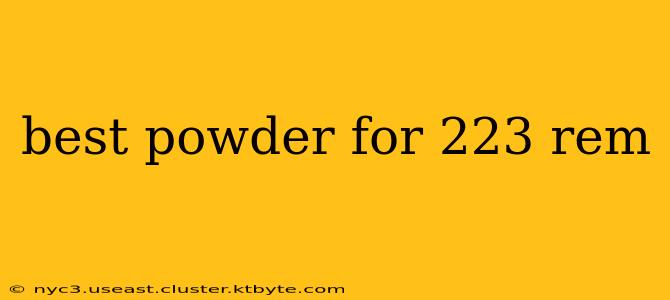 best powder for 223 rem