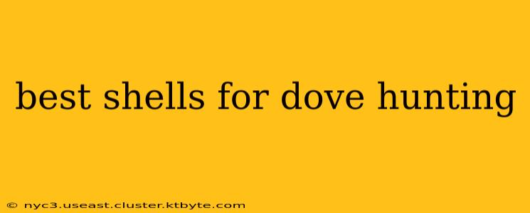 best shells for dove hunting