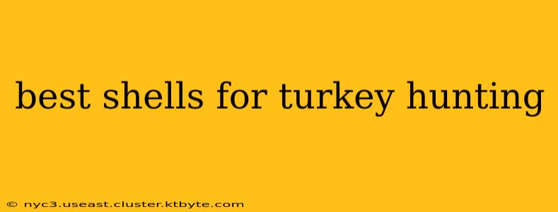 best shells for turkey hunting