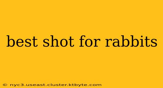 best shot for rabbits