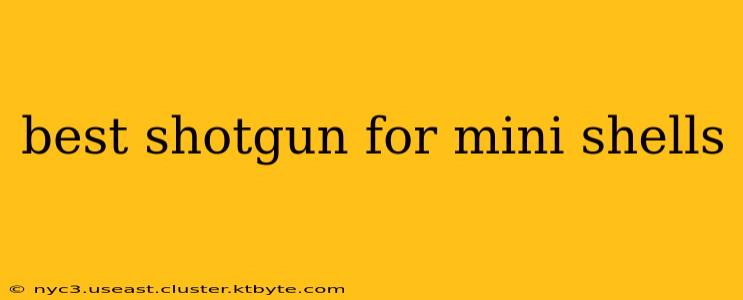 best shotgun for mini shells